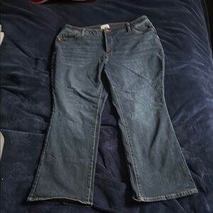 Sonoma Plus Size Blue Women's Jeans